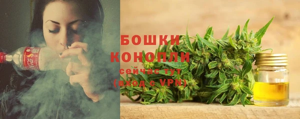ГАЛЛЮЦИНОГЕННЫЕ ГРИБЫ Корсаков