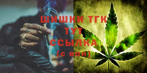 ГАЛЛЮЦИНОГЕННЫЕ ГРИБЫ Корсаков
