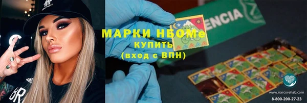 ГАЛЛЮЦИНОГЕННЫЕ ГРИБЫ Корсаков