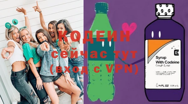 ГАЛЛЮЦИНОГЕННЫЕ ГРИБЫ Корсаков