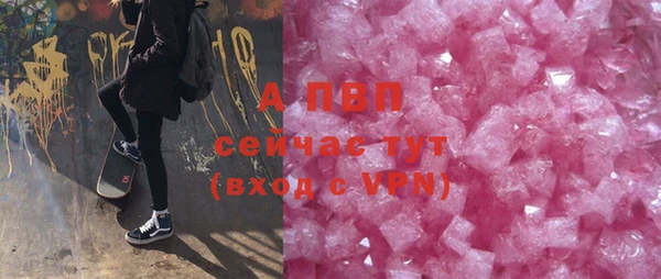 ГАЛЛЮЦИНОГЕННЫЕ ГРИБЫ Корсаков