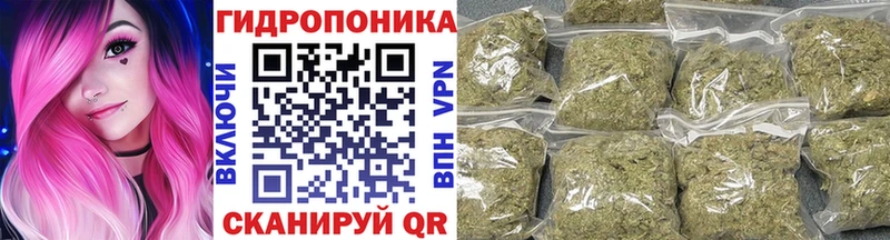 Канабис планчик  Купить где  Жигулёвск 
